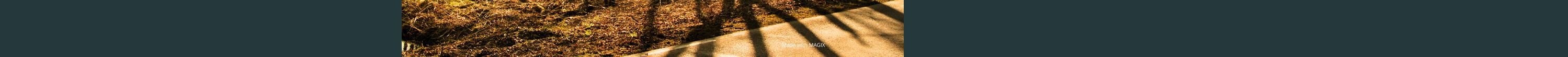 Made with MAGIX