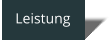 Leistung