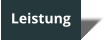 Leistung