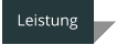 Leistung