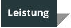 Leistung